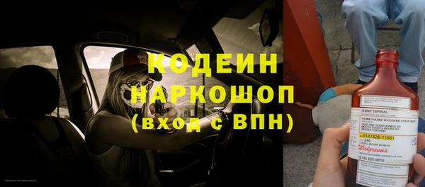 молекула духа Покровск