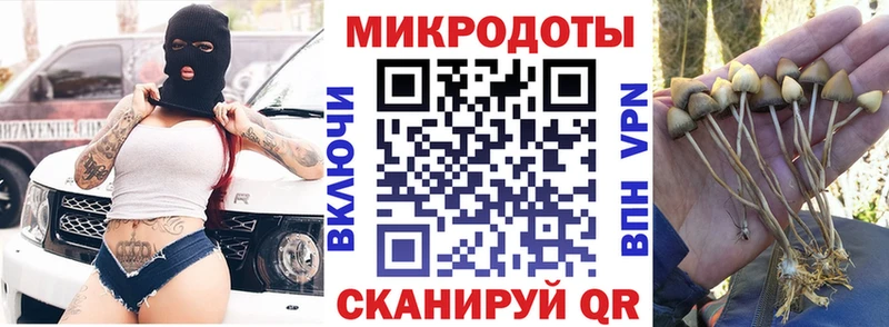 Купить где Инза Галлюциногенные грибы GOLDEN TEACHER